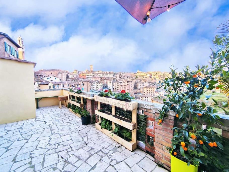 Gest Short Rent 2 Siena