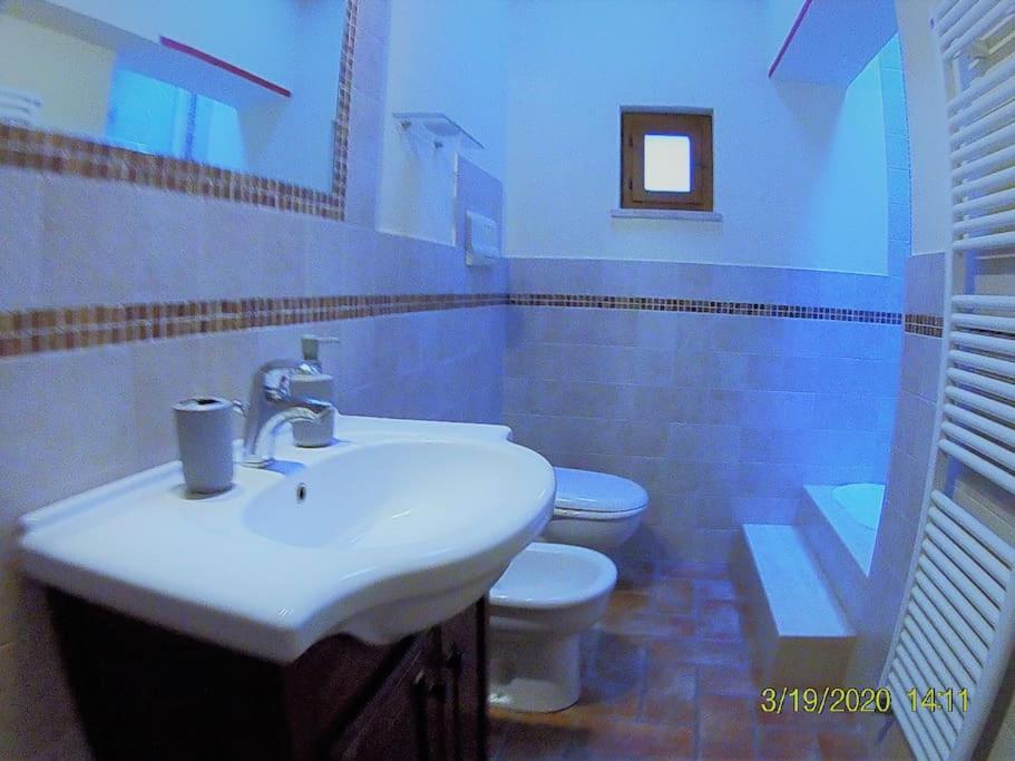 Gest Short Rent 2 Siena