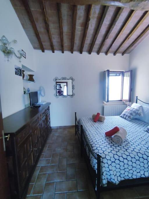 Gest Short Rent 2 Siena